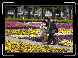 IMG_3395 * 850 x 608 * (246KB)