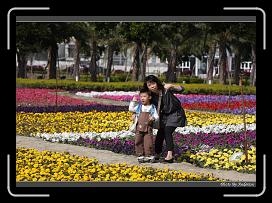 IMG_3396 * 850 x 608 * (249KB)