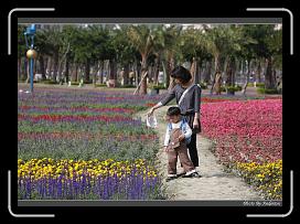 IMG_3401 * 850 x 608 * (240KB)