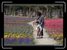 IMG_3403 * 850 x 608 * (249KB)