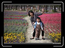 IMG_3405 * 850 x 608 * (234KB)