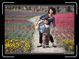 IMG_3407 * 850 x 608 * (247KB)