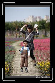 IMG_3409 * 566 x 910 * (231KB)