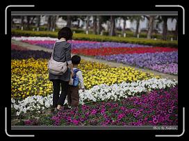 IMG_3418 * 850 x 608 * (242KB)