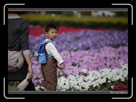 IMG_3419 * 850 x 608 * (234KB)