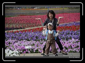 IMG_3433 * 850 x 608 * (239KB)