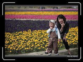 IMG_3442 * 850 x 608 * (238KB)