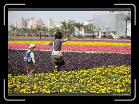 IMG_3443 * 850 x 608 * (247KB)