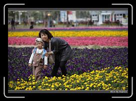 IMG_3446 * 850 x 608 * (240KB)