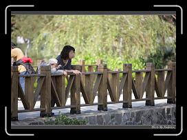 IMG_3477 * 850 x 608 * (234KB)