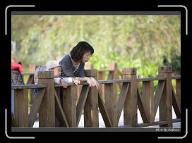 IMG_3478 * 850 x 608 * (236KB)