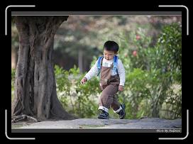 IMG_3521 * 850 x 608 * (250KB)
