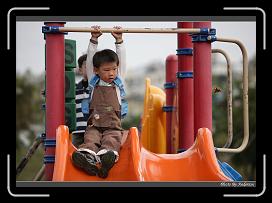 IMG_3554 * 850 x 608 * (243KB)