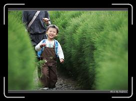 IMG_3556 * 850 x 608 * (231KB)