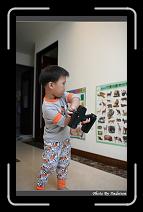 IMG_3877 * 566 x 910 * (244KB)