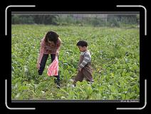 IMG_3884 * 850 x 608 * (244KB)
