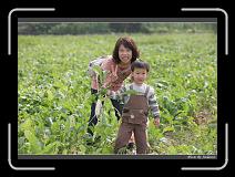 IMG_3886 * 850 x 608 * (244KB)