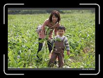 IMG_3887 * 850 x 608 * (244KB)