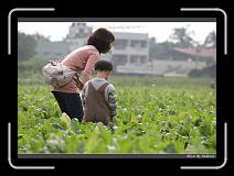 IMG_3890 * 850 x 608 * (218KB)