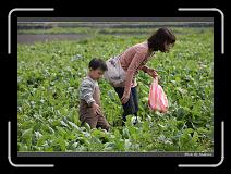 IMG_3892 * 850 x 608 * (243KB)
