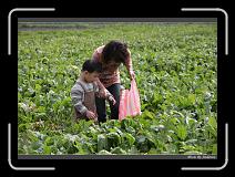 IMG_3896 * 850 x 608 * (249KB)