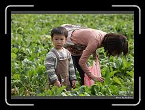 IMG_3898 * 850 x 608 * (239KB)