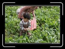 IMG_3899 * 850 x 608 * (242KB)