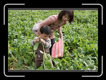 IMG_3900 * 850 x 608 * (249KB)