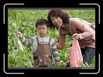 IMG_3906 * 850 x 608 * (242KB)