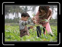IMG_3911 * 850 x 608 * (232KB)