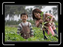 IMG_3913 * 850 x 608 * (232KB)