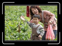 IMG_3921 * 850 x 608 * (242KB)