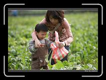 IMG_3925 * 850 x 608 * (246KB)