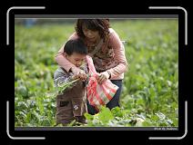 IMG_3926 * 850 x 608 * (247KB)