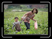 IMG_3927 * 850 x 608 * (243KB)