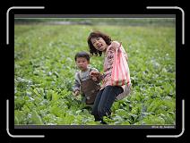 IMG_3929 * 850 x 608 * (234KB)