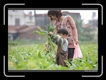 IMG_3931 * 850 x 608 * (229KB)