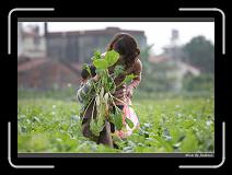IMG_3934 * 850 x 608 * (243KB)