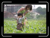 IMG_3935 * 850 x 608 * (245KB)