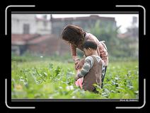 IMG_3936 * 850 x 608 * (230KB)