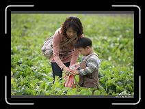 IMG_3937 * 850 x 608 * (234KB)