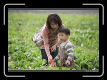 IMG_3939 * 850 x 608 * (239KB)