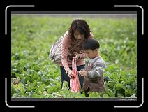IMG_3940 * 850 x 608 * (242KB)