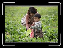 IMG_3941 * 850 x 608 * (248KB)