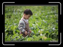 IMG_3942 * 850 x 608 * (248KB)