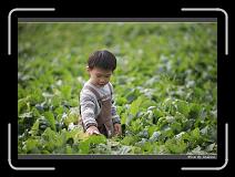 IMG_3943 * 850 x 608 * (239KB)