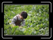 IMG_3944 * 850 x 608 * (232KB)