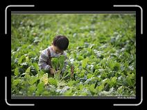 IMG_3945 * 850 x 608 * (237KB)