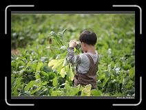 IMG_3947 * 850 x 608 * (242KB)