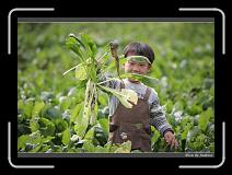 IMG_3948 * 850 x 608 * (229KB)